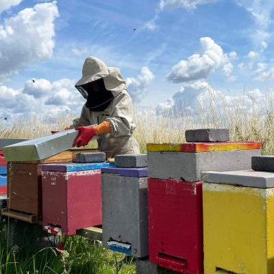 Cuidamos de nuestras abejas